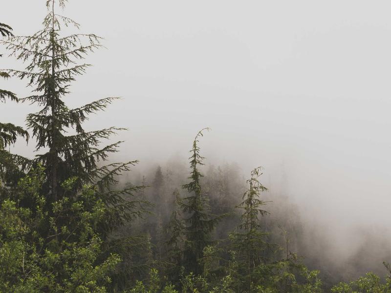 DC全套运营教程<br>注册/养号/建群/机器人/解封一站式
